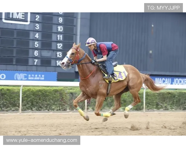 澳门赛马今天的比赛时间安排及赛事亮点介绍