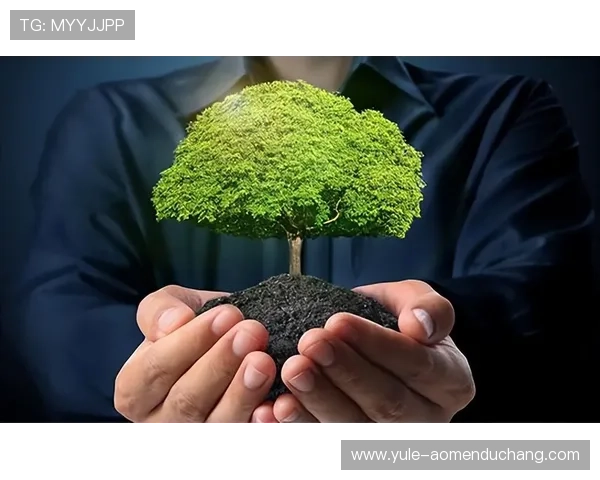 金沙中国环境与可持续发展：绿色环保措施与企业社会责任实践