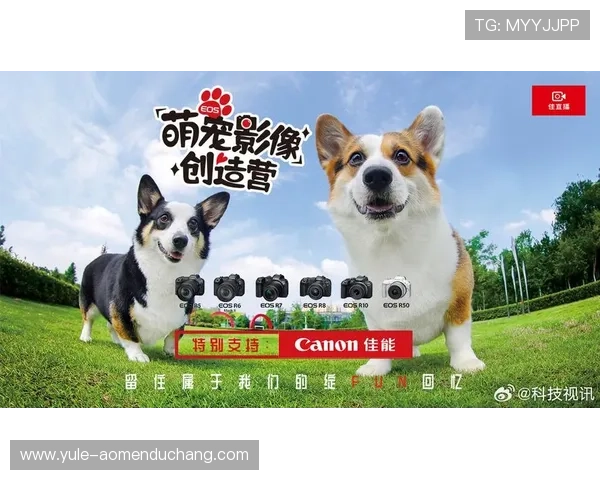 如何快速下载安装PA视讯APP，享受高清直播娱乐