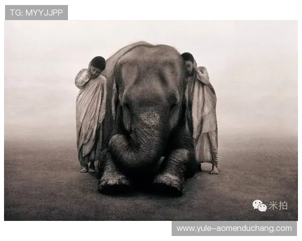 安博真人版幕后花絮揭秘，制作过程中的不为人知故事让人震撼