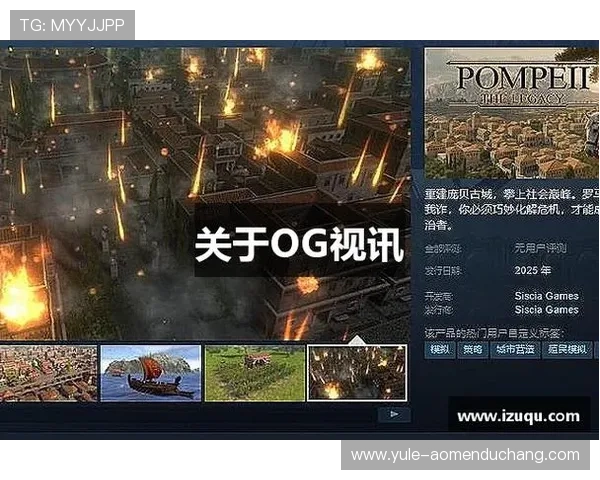 新og视讯安全保障措施全面升级确保每一位玩家的账号资金信息安全无忧保障游戏公平公正