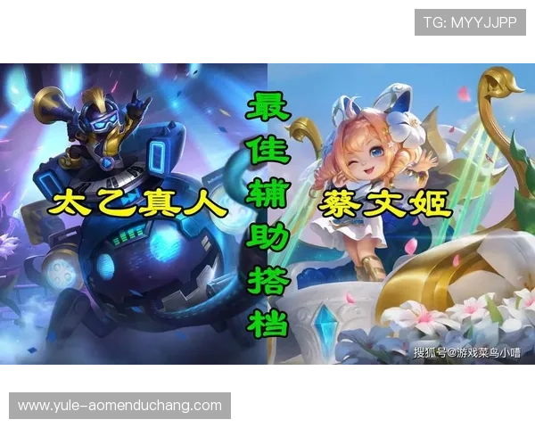 提升在真人游戏在线大厅中的胜率和游戏技巧实用攻略