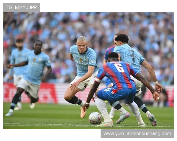 水晶宫足球俱乐部官网球队阵容分析与战术布置探秘