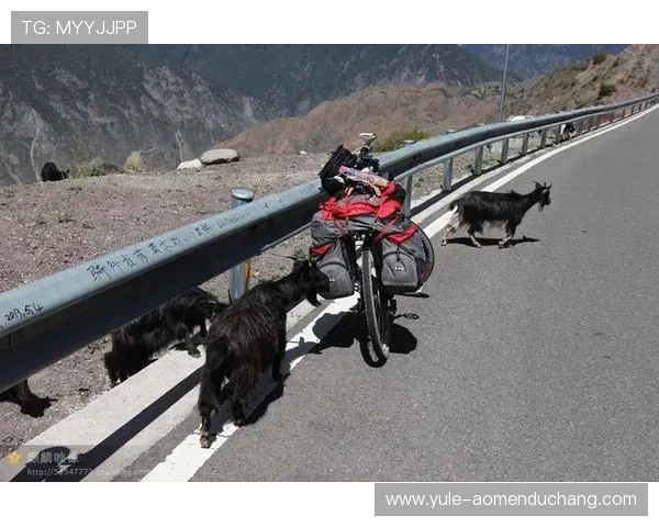 澳门六合彩官网地址最新优惠活动信息，抢先了解丰富彩金与专属福利